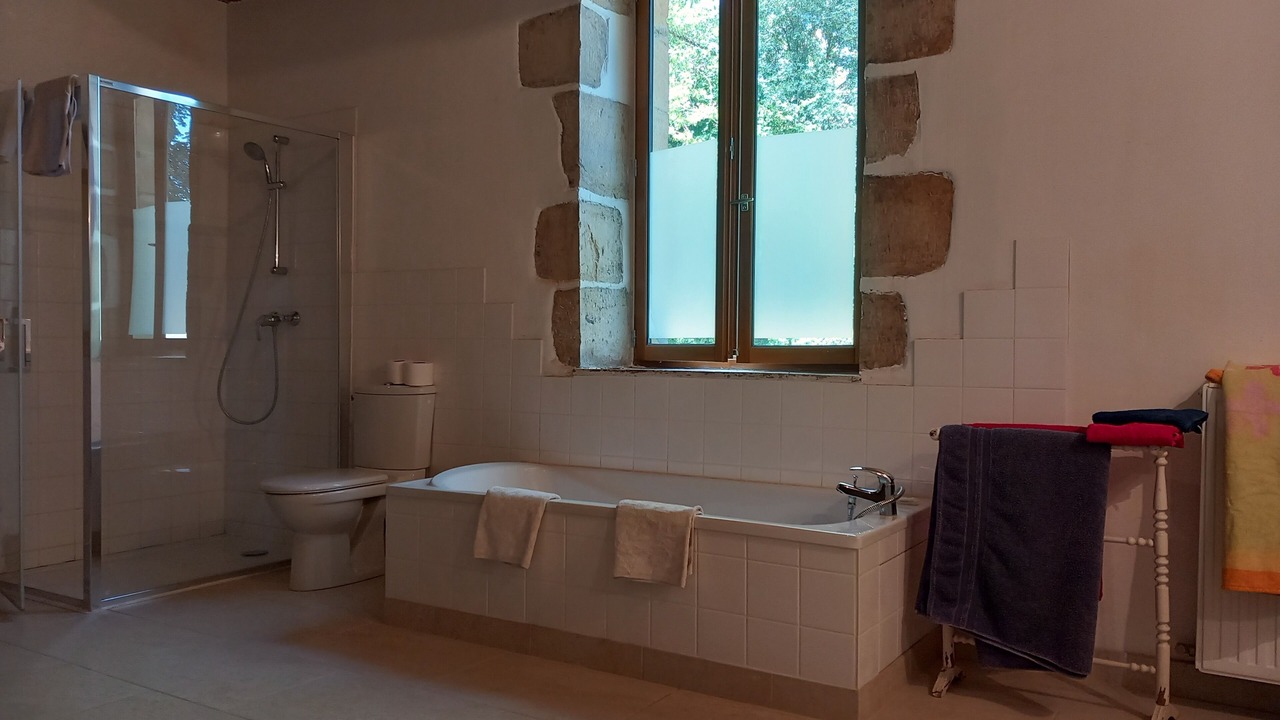 Photo of Bathroom in Saint-Benin-d'Azy