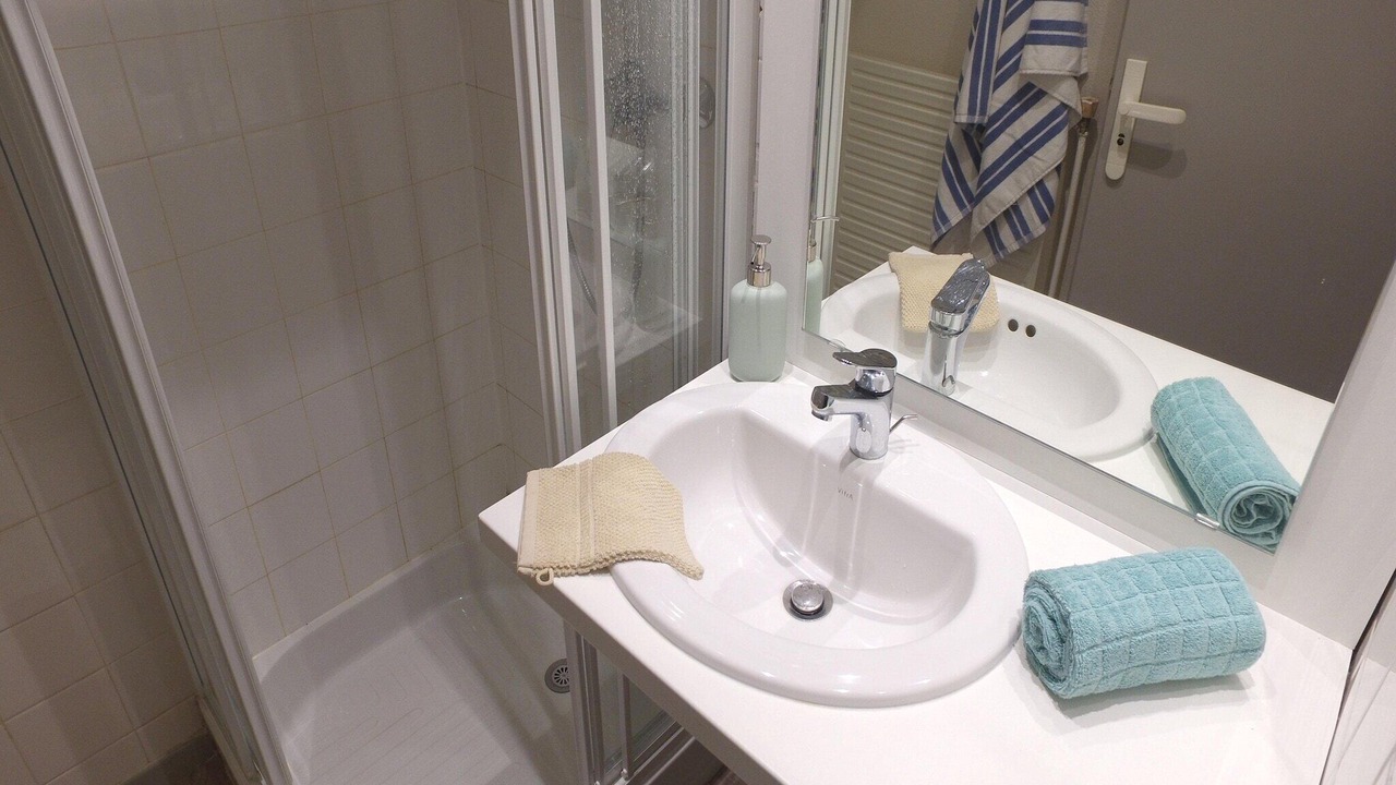 Photo of Bathroom in Flee
