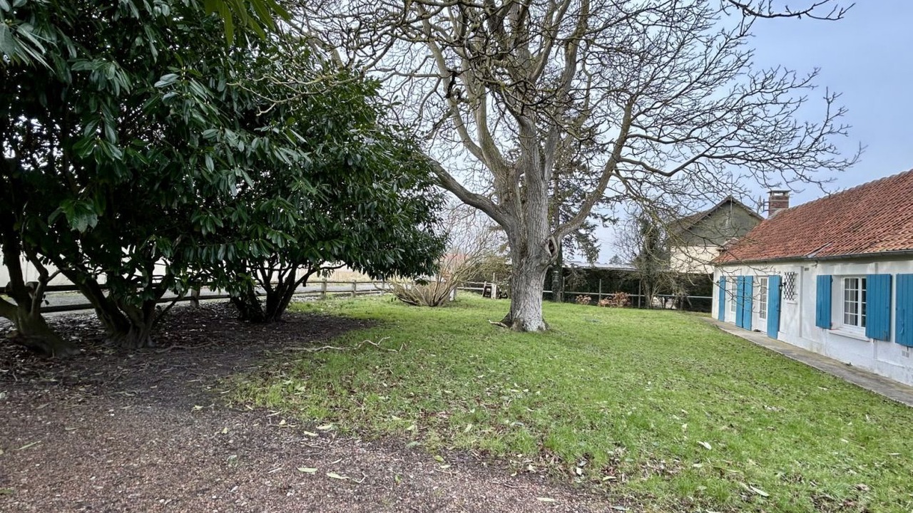 Photo of Outdoor in Pende