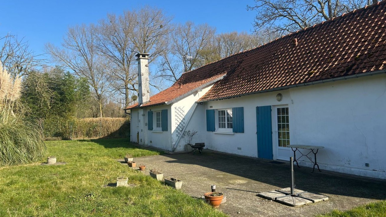 Photo of Outdoor in Pende