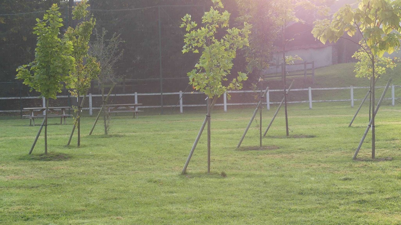 Photo of Outdoor in Evreux