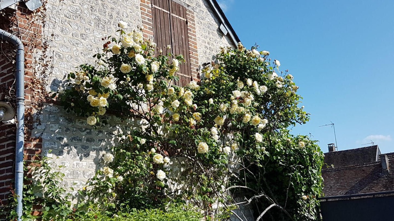 Photo of Outdoor in Ande