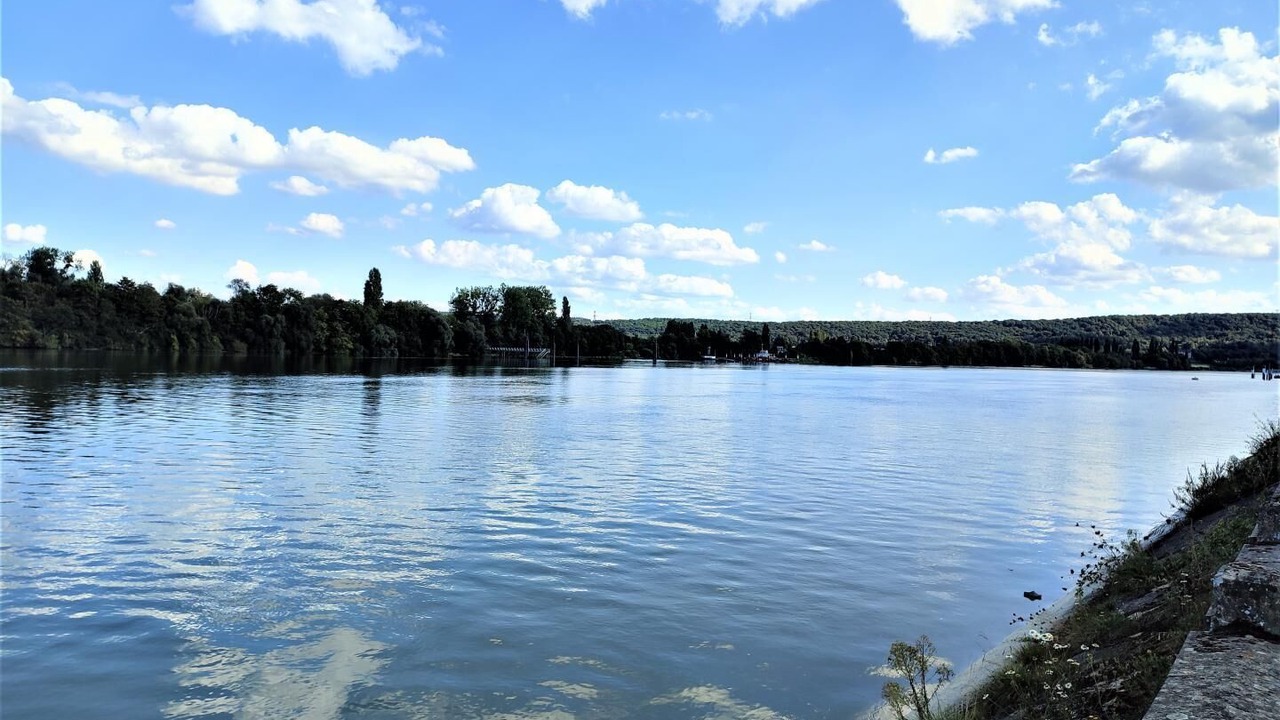 Photo of Others in Le Mesnil-sous-Jumieges