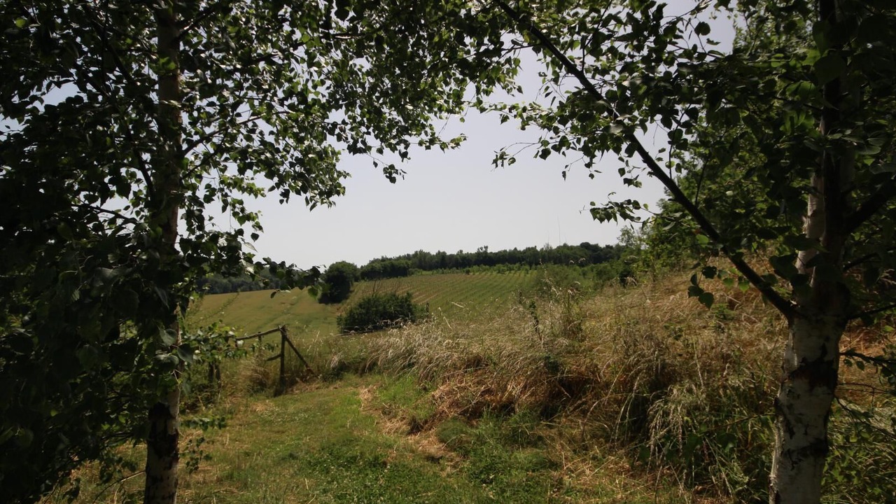 Photo of Others in Campneuseville