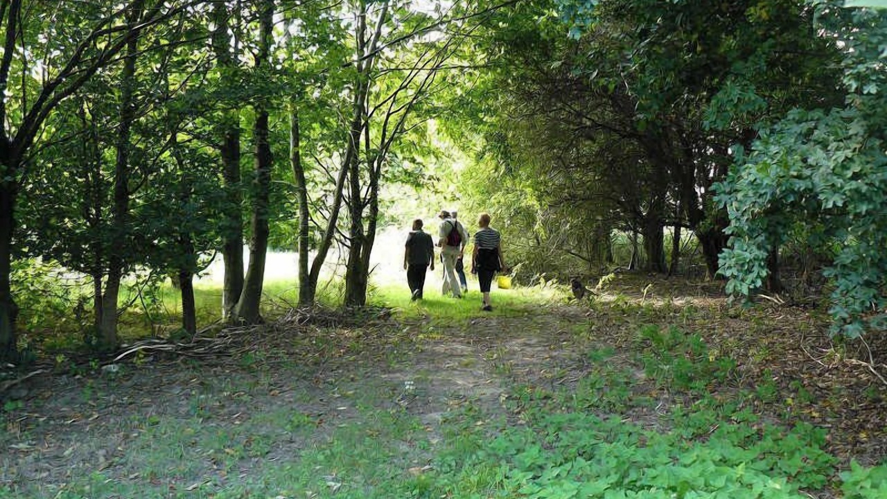 Photo of Others in Saint-Maclou-de-Folleville