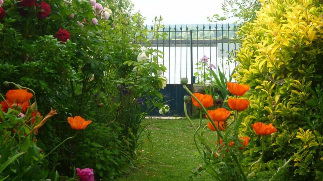Photo of Outdoor in Villequier