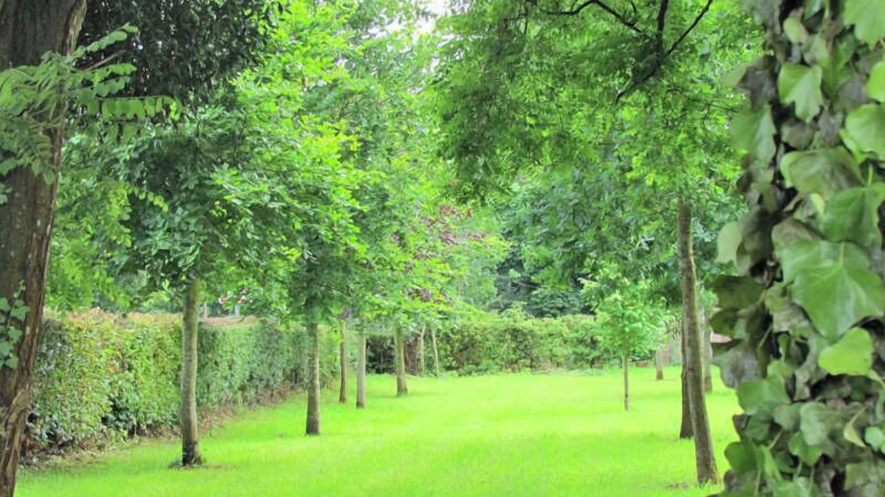 Photo of Outdoor in Hugleville-en-Caux