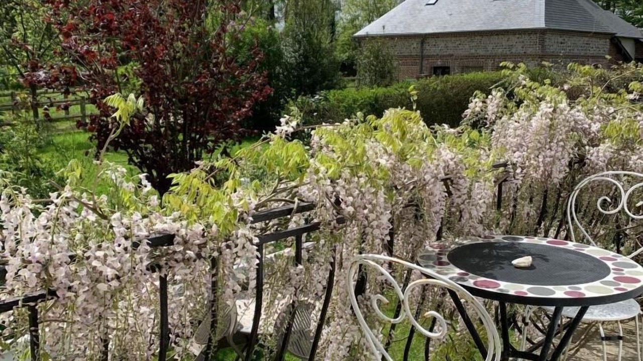 Photo of Outdoor in Cailleville