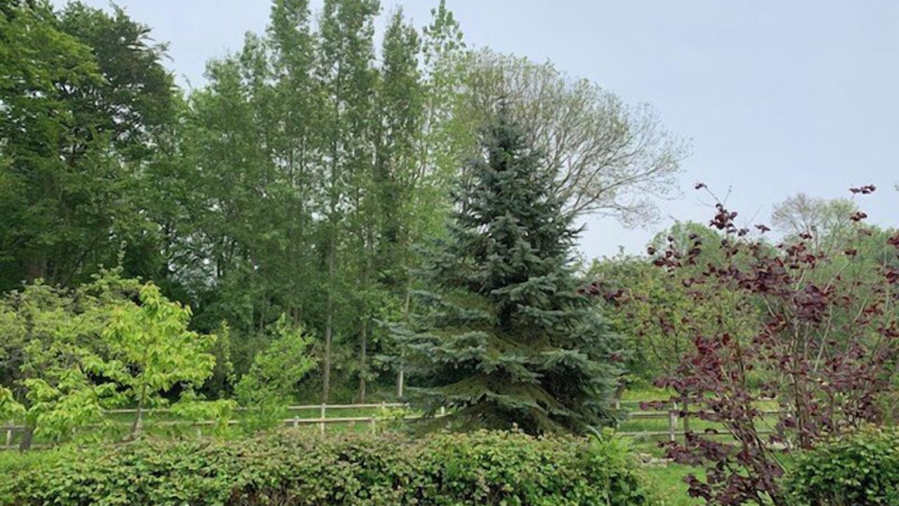 Photo of Others in Cailleville