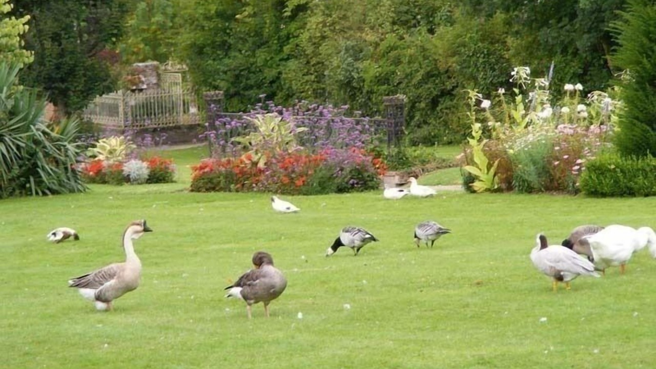 Photo of Outdoor in Mesnieres-en-Bray