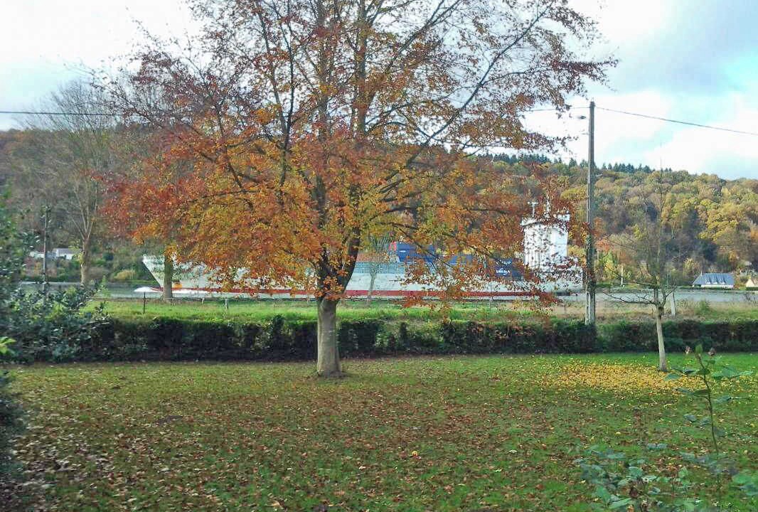 Photo of Others in Saint-Pierre-de-Manneville