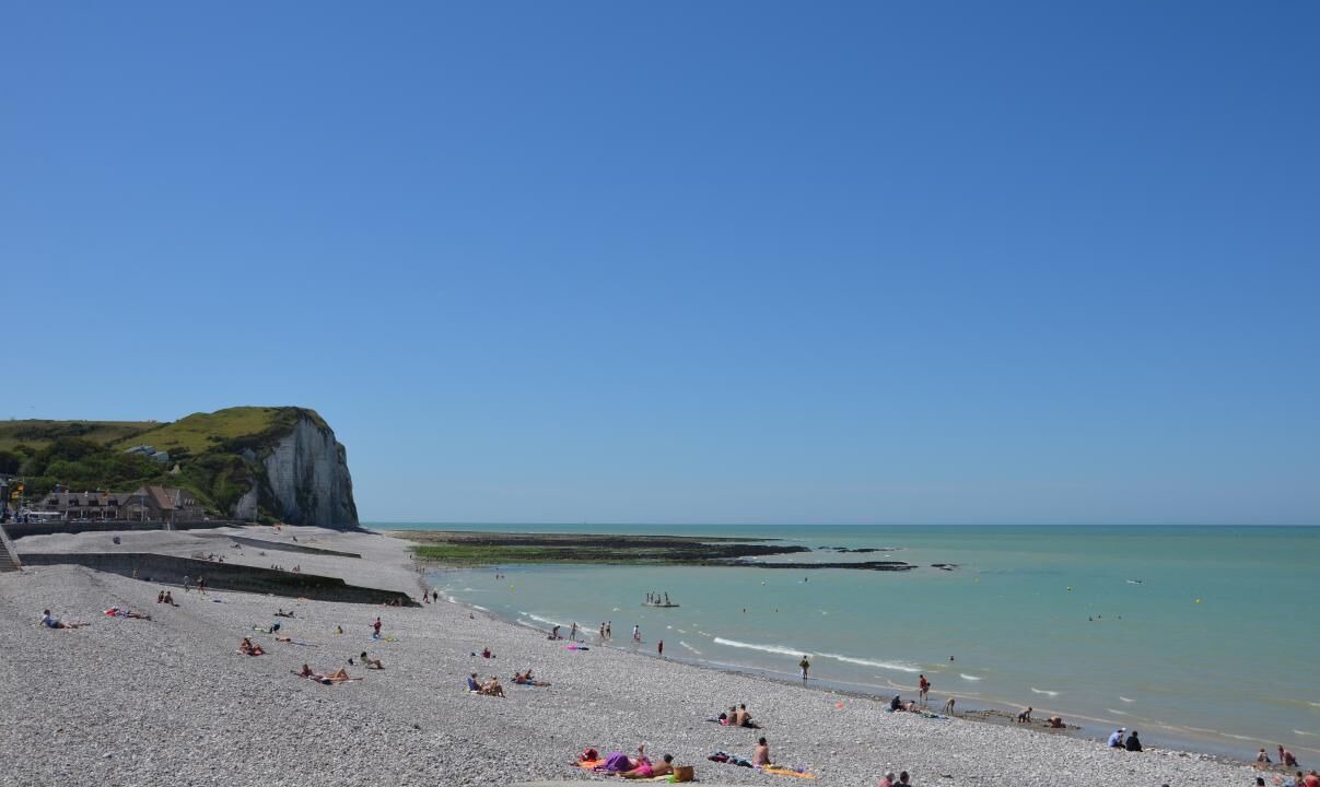 Photo of Others in Saint-Martin-aux-Buneaux
