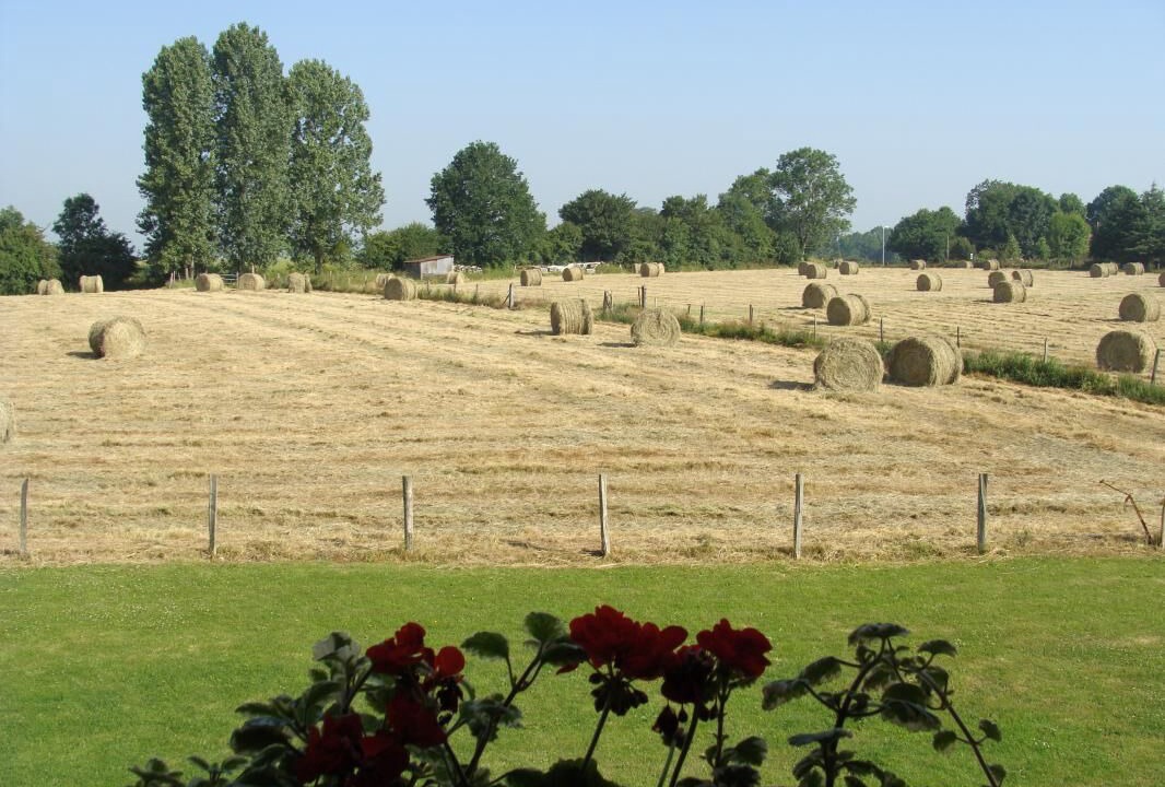 Photo of Outdoor in Gonneville-sur-Scie