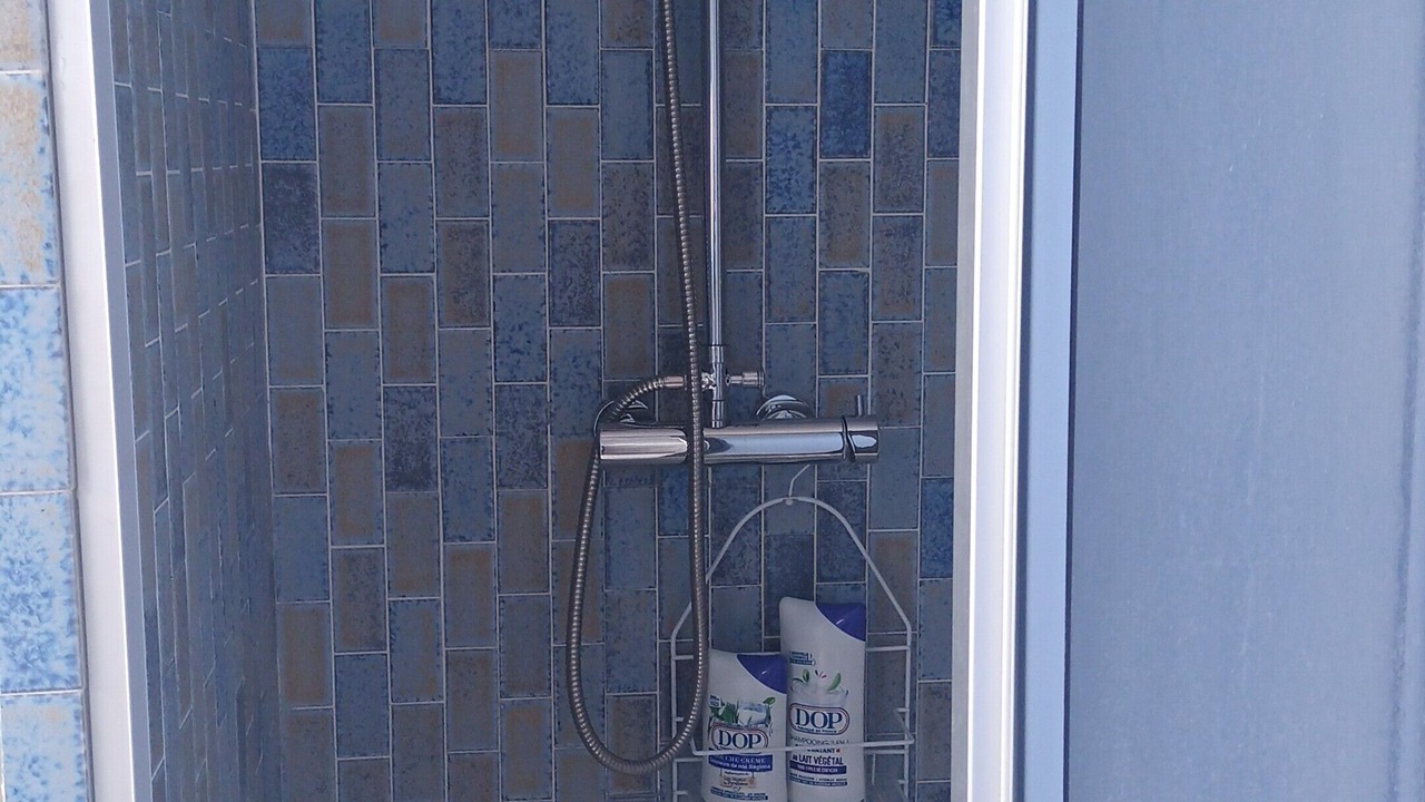 Photo of Bathroom in Saillenard