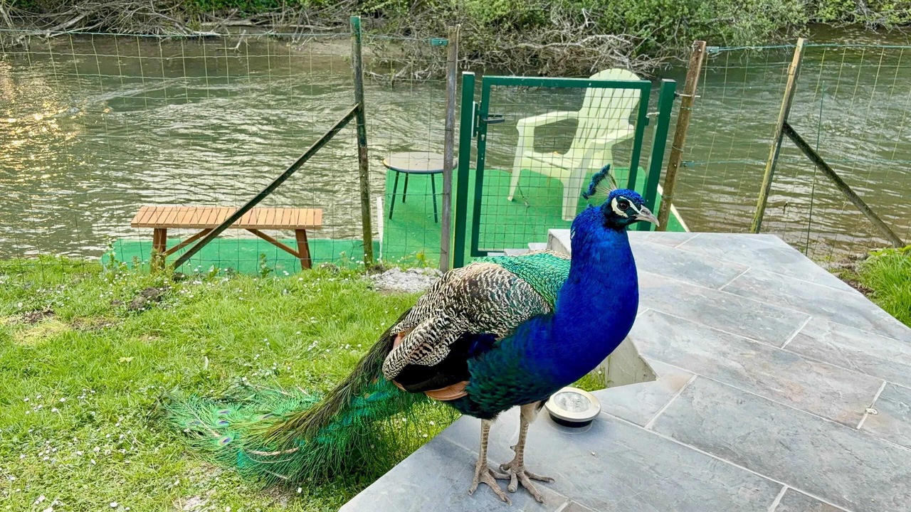 Photo of Outdoor in Authuille