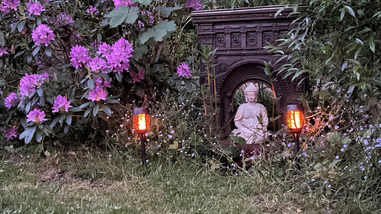 Photo of Outdoor in Nibelle