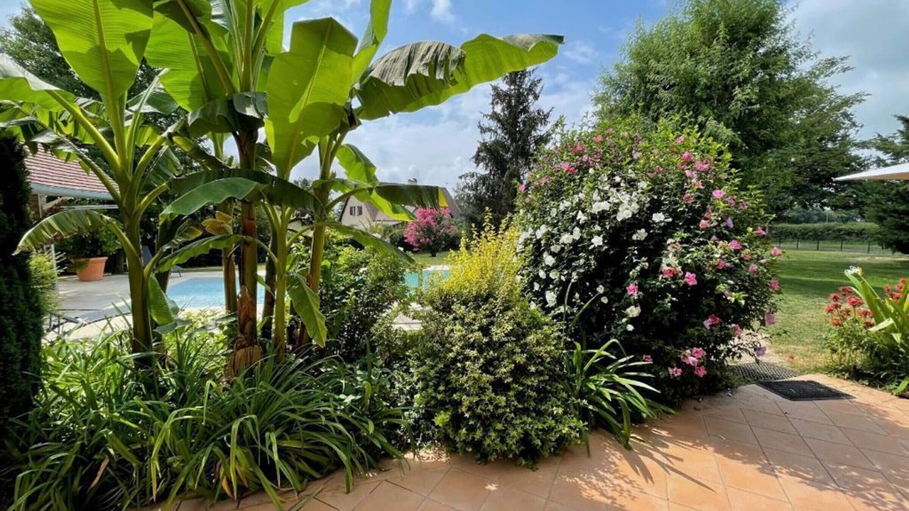 Photo of Outdoor in Lurcy-Levis