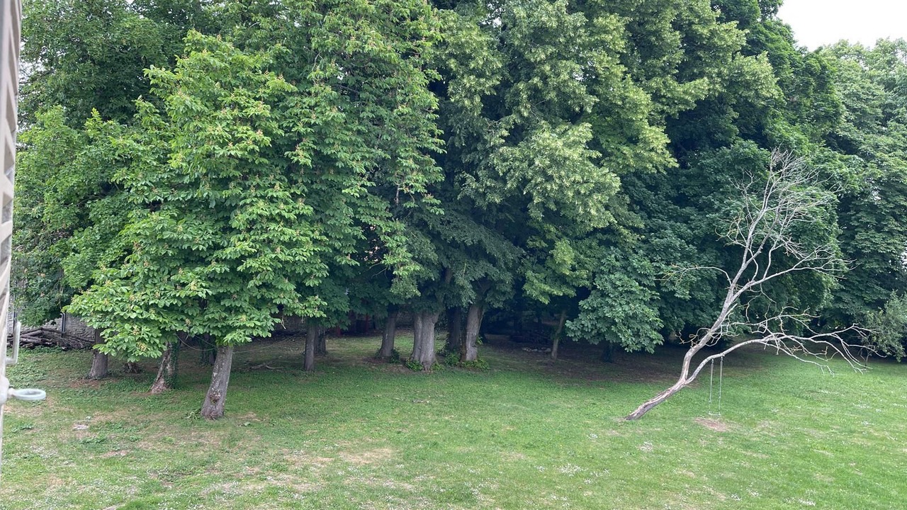 Photo of Outdoor in Monnerville