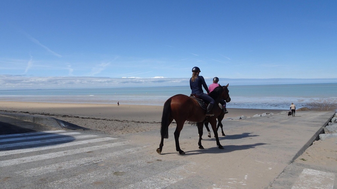 Photo of Others in Saint-Martin de Brehal