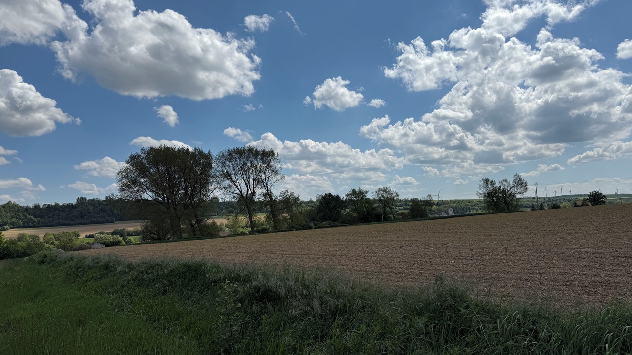 Photo of Others in Merck-Saint-Lievin