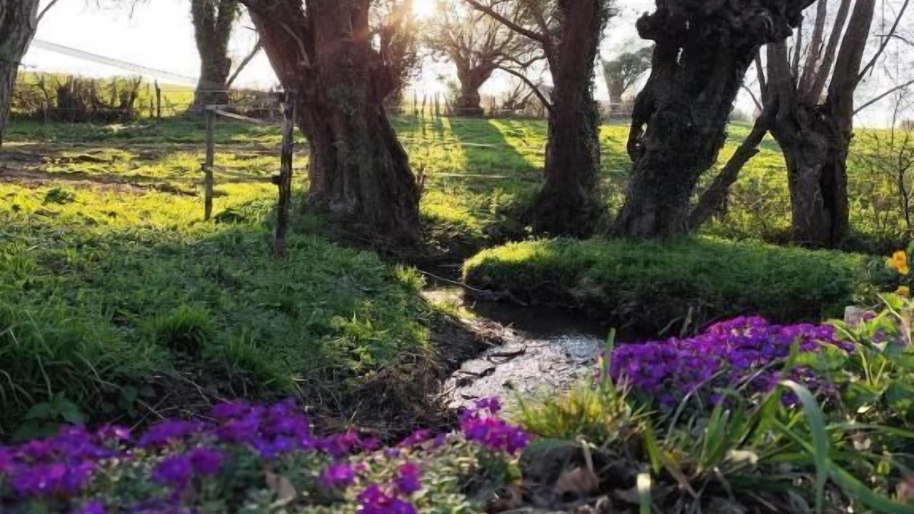 Photo of Outdoor in Mesnieres-en-Bray