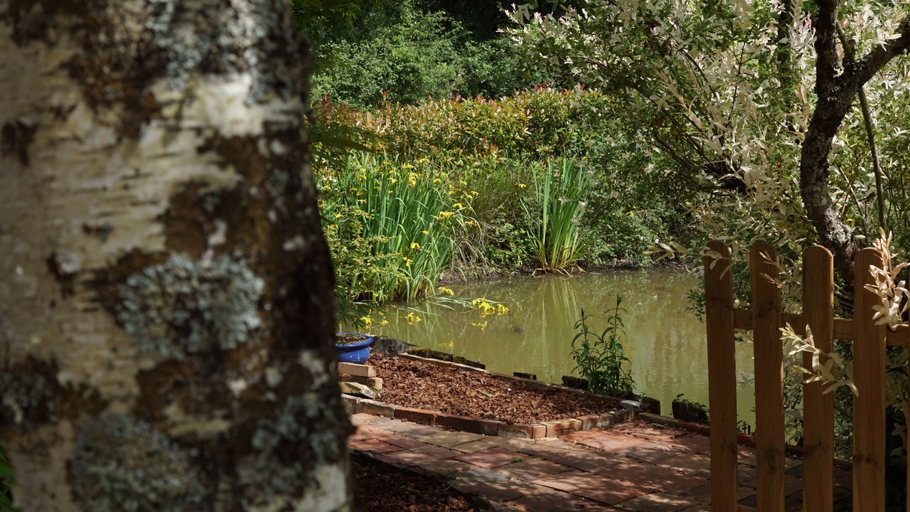 Photo of Outdoor in Champignelles