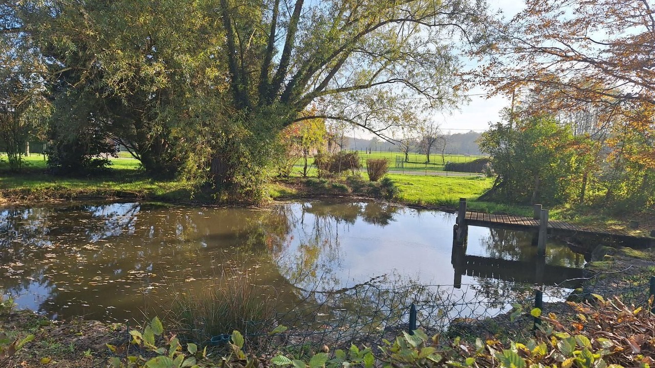 Photo of Others in Sornay
