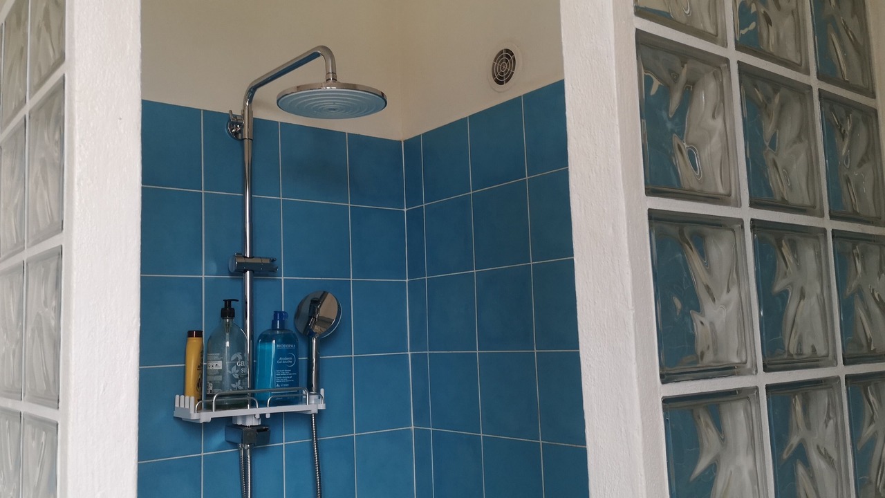 Photo of Bathroom in Velizy-Villacoublay