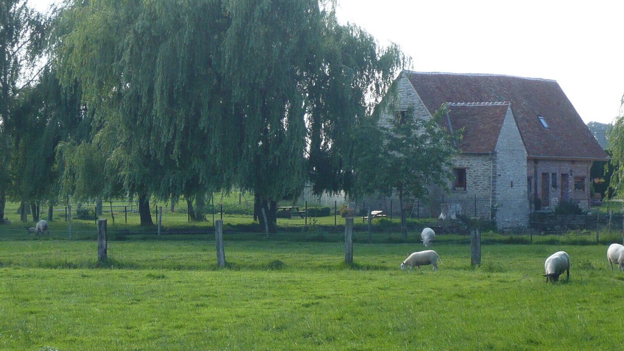 Photo of Others in Dampierre-en-Bray