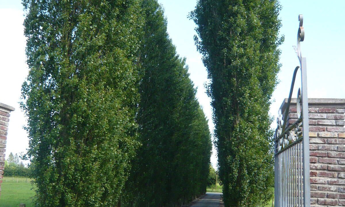 Photo of Others in Dampierre-en-Bray