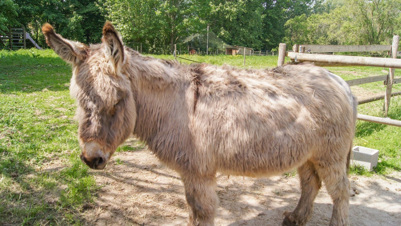 Photo of Others in Blessy
