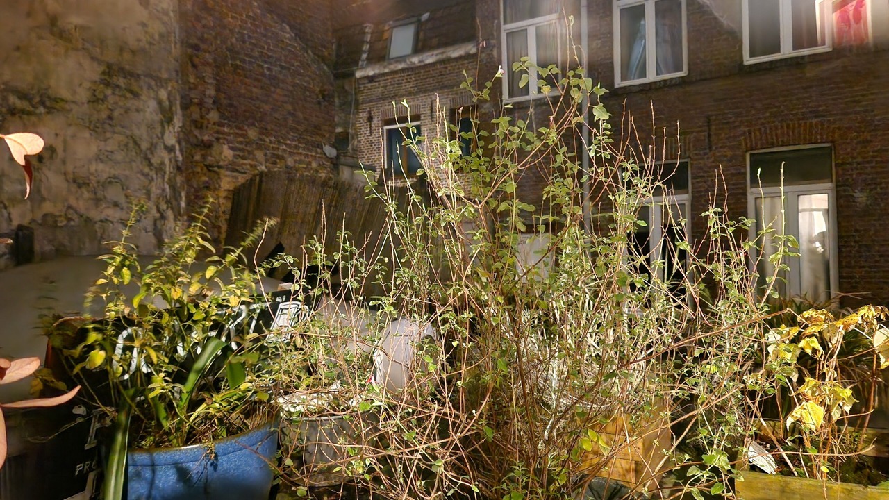 Photo of Outdoor in Roubaix