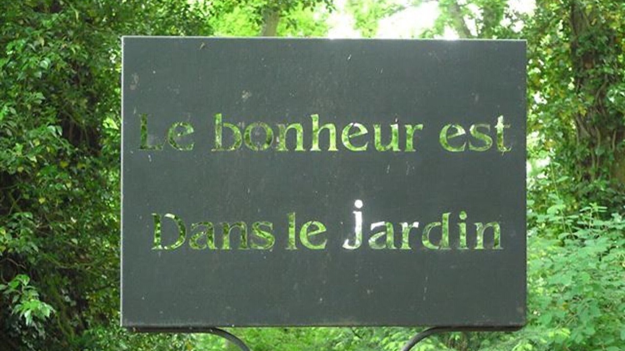 Photo of Outdoor in Saint-Sauveur-Marville