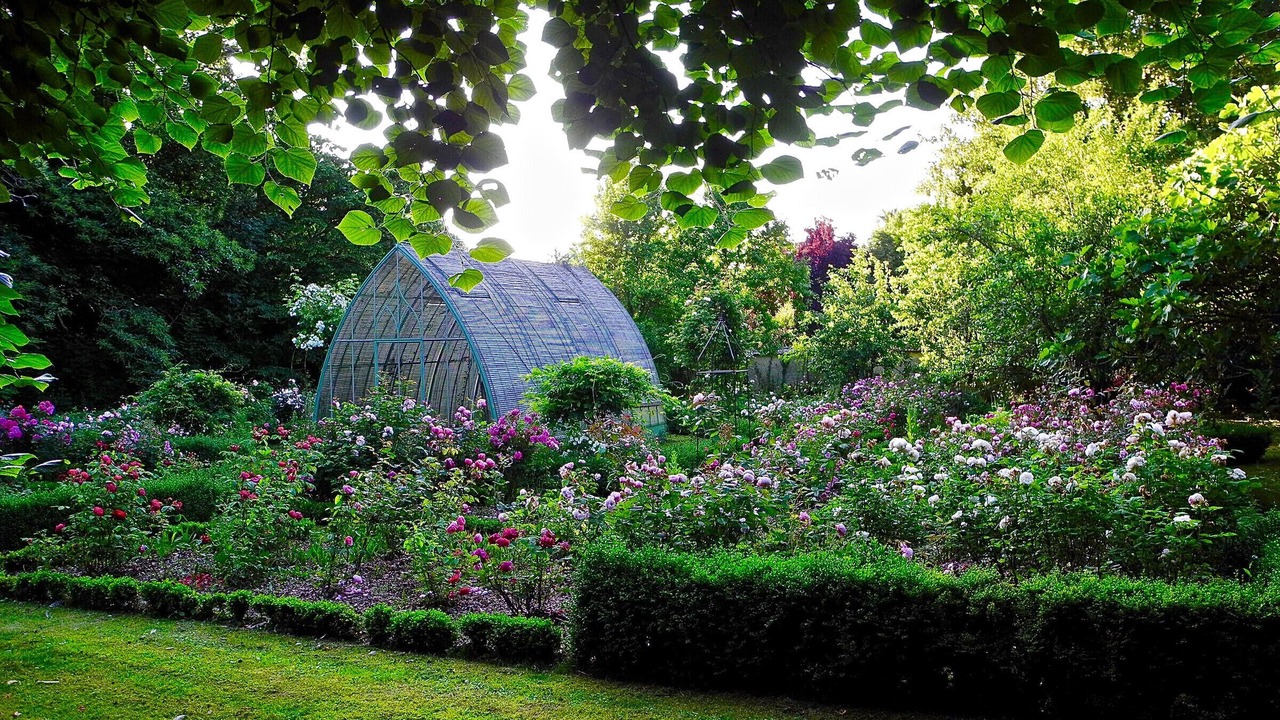 Photo of Outdoor in Saint-Sauveur-Marville