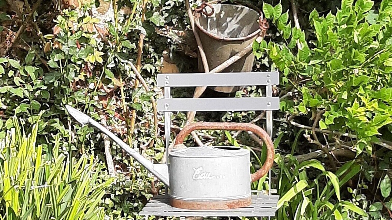 Photo of Outdoor in Carly