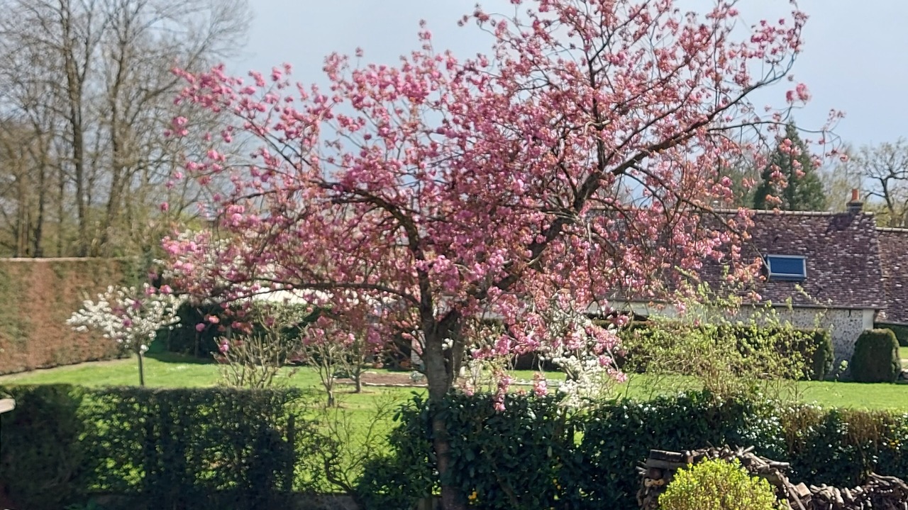 Photo of Outdoor in Saint-Michel-Tubœuf
