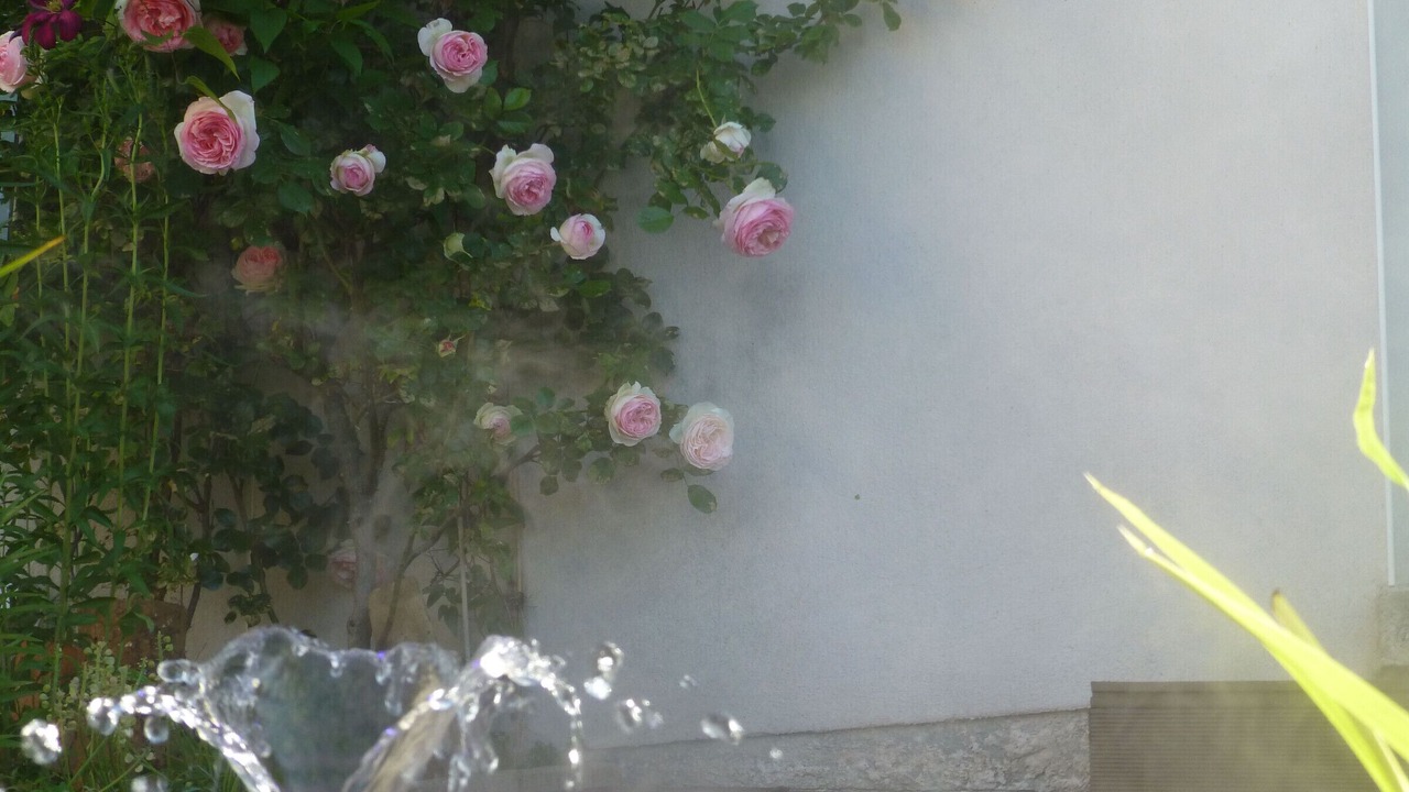 Photo of Outdoor in Dun-sur-Meuse