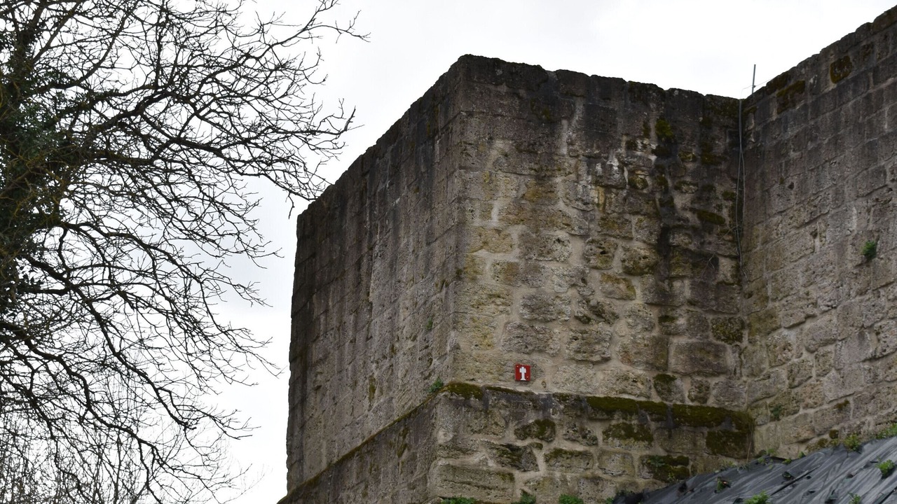 Photo of Others in Dun-sur-Meuse