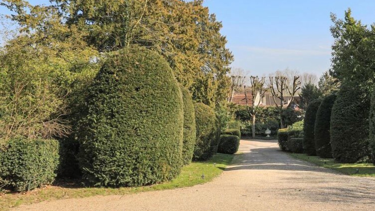 Photo of Outdoor in Vaux-sur-Seine