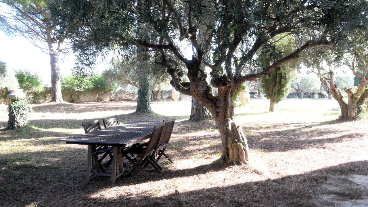 Photo of Outdoor in Montpeyroux