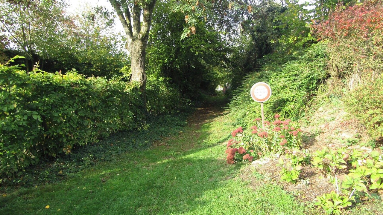 Photo of Outdoor in Beaufort