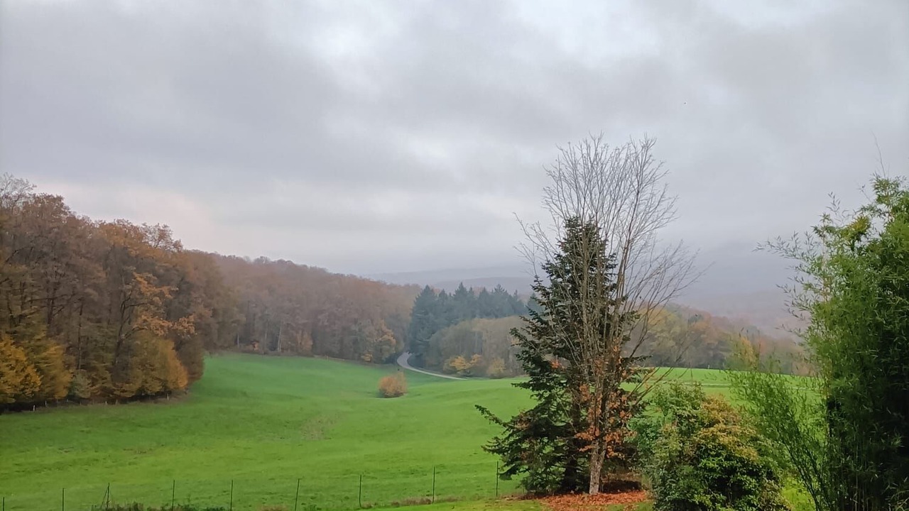 Photo of Others in Lembach