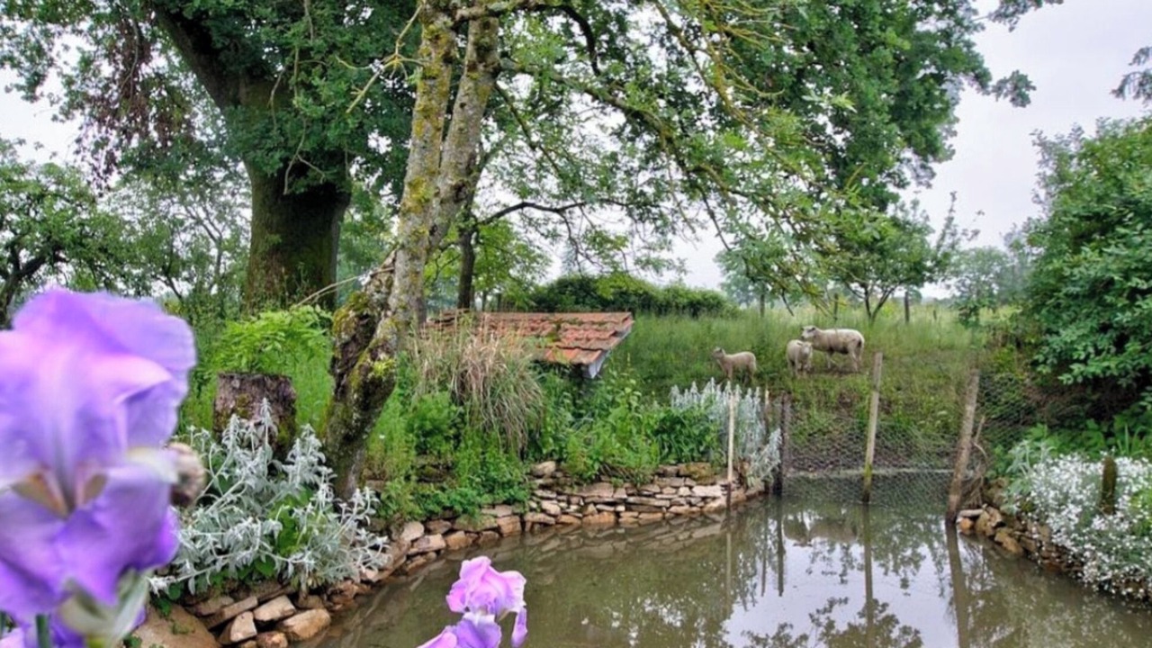 Photo of Outdoor in Saint-Didier-d'Aussiat