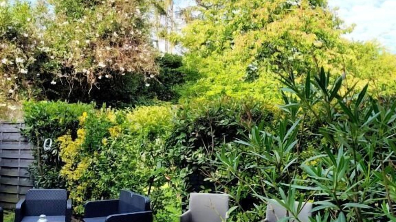 Photo of Outdoor in Richebourg - Saint-Clement