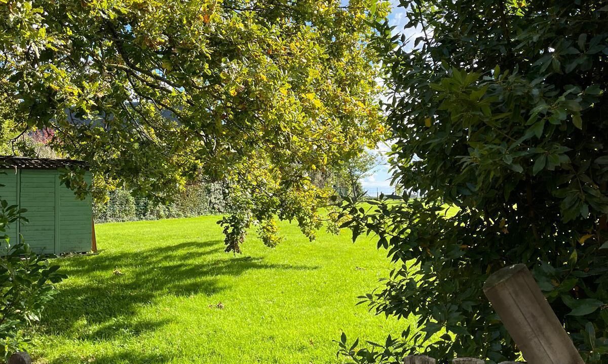 Photo of Outdoor in Saint-Martin-aux-Buneaux