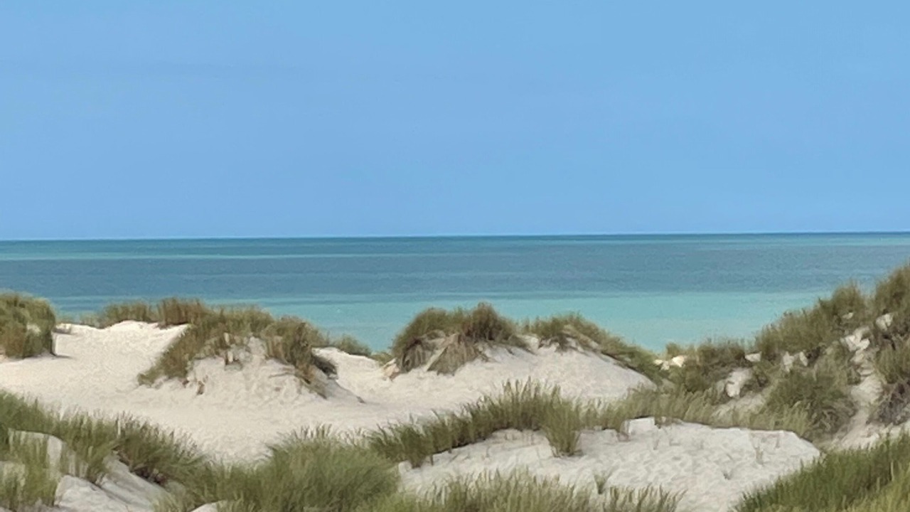 Photo of Others in Stella-Plage