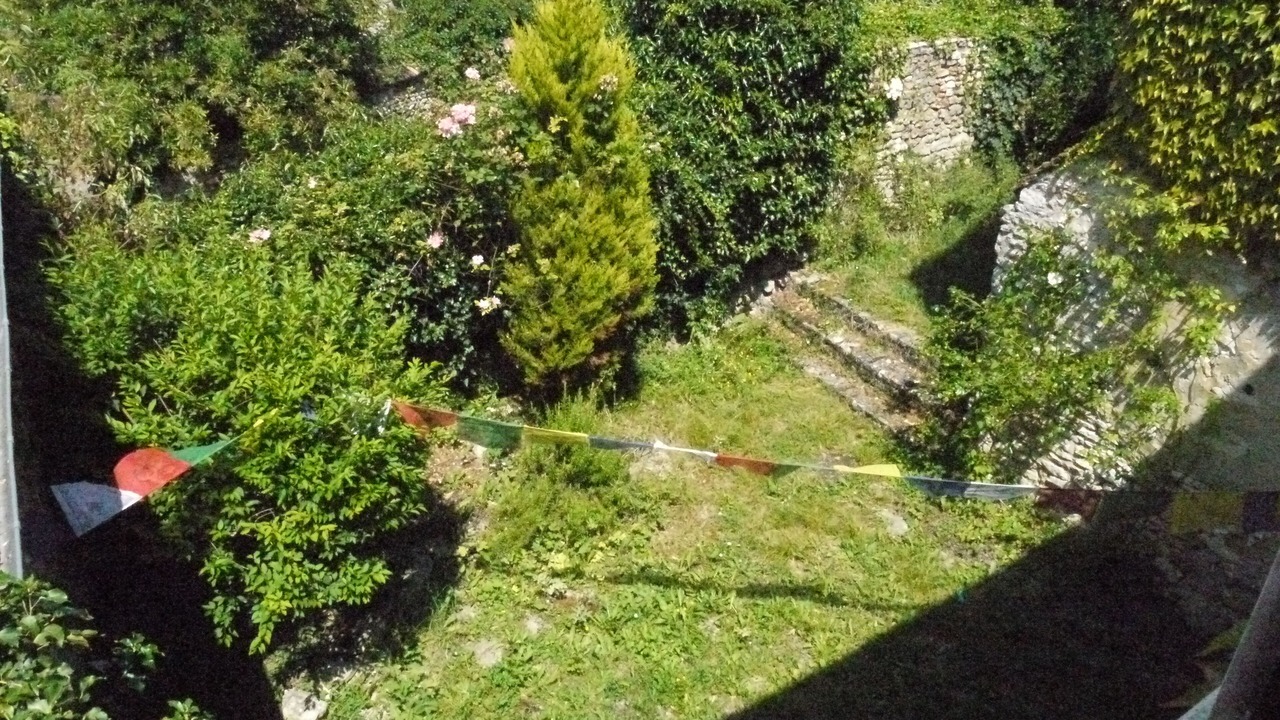 Photo of Outdoor in Jumeauville