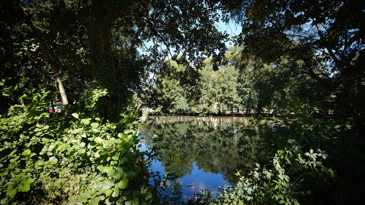 Photo of Others in Lons-le-Saunier