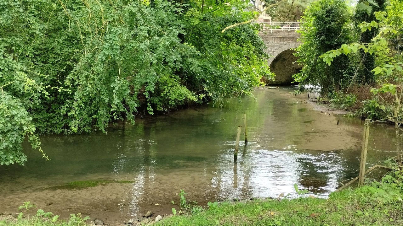 Photo of Others in Agnez-les-Duisans