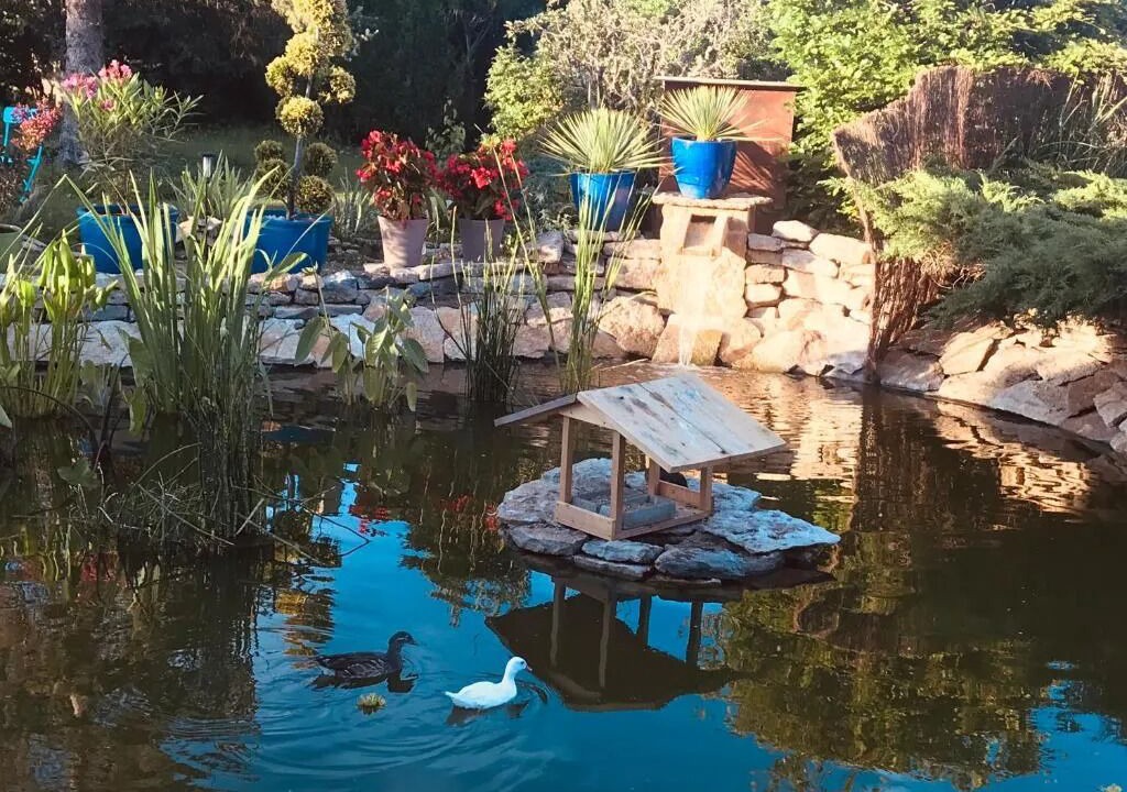 Photo of Outdoor in Commarin